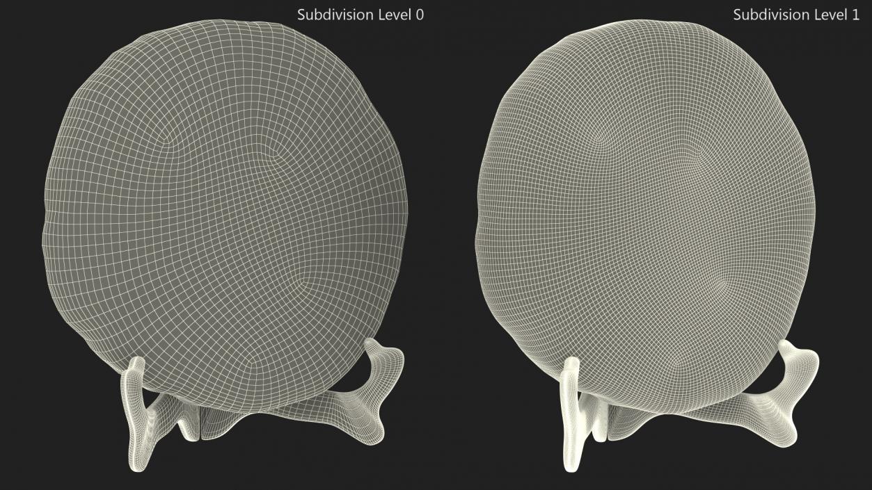 3D Pu er Fermented Tea on Stand model