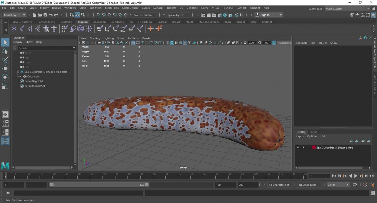 3D model Sea Cucumber S Shaped Red