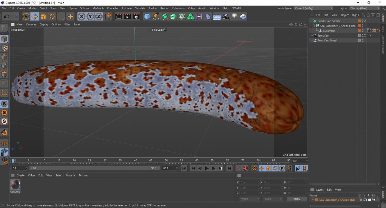 3D model Sea Cucumber S Shaped Red