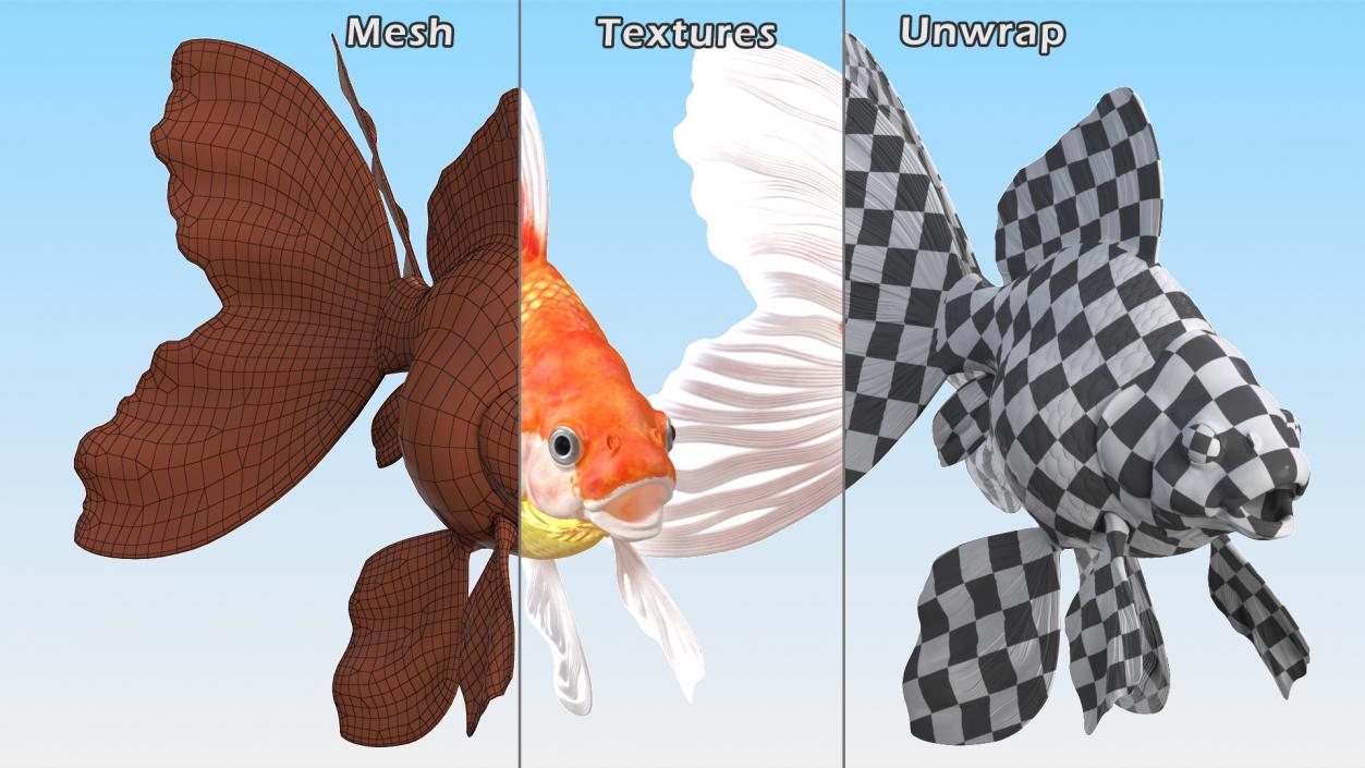 Goldfish Aquarium Fish 3D