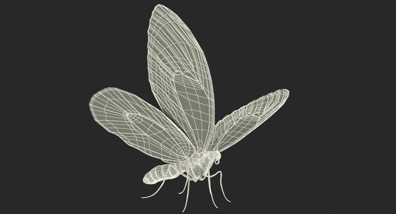 Insects Big Collection 4 3D model