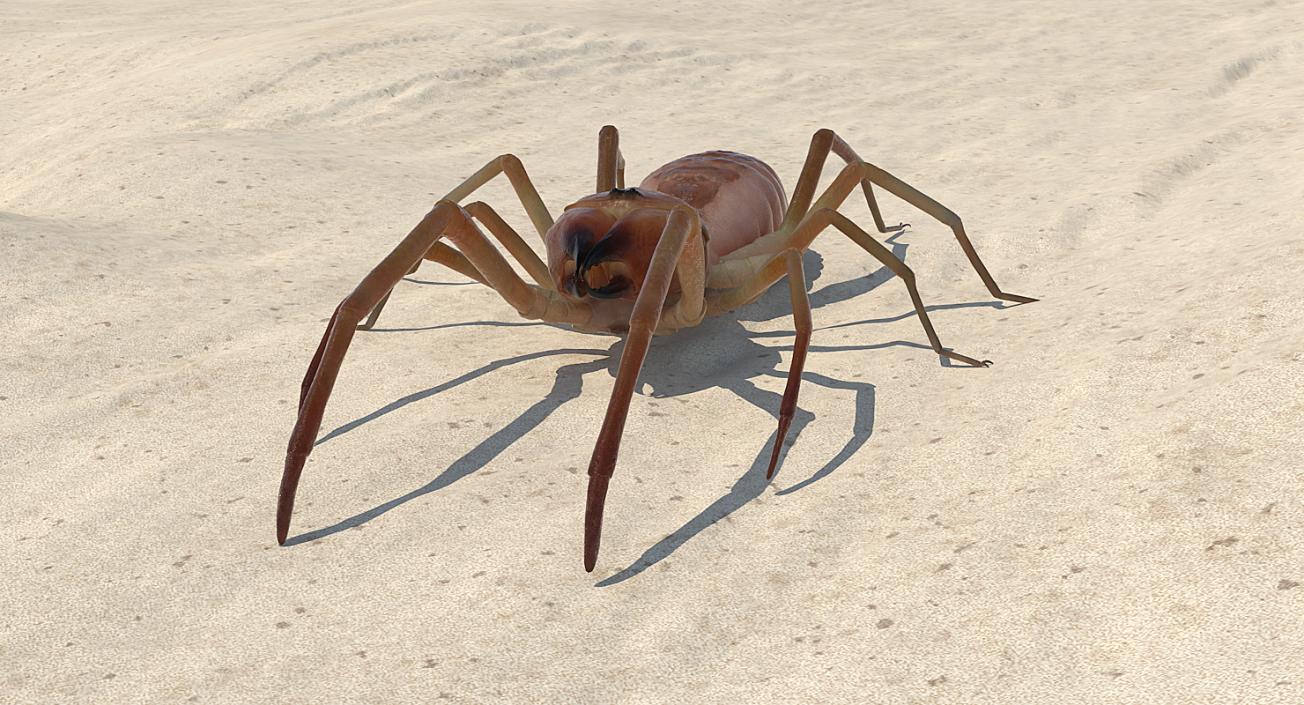 Insects Big Collection 4 3D model