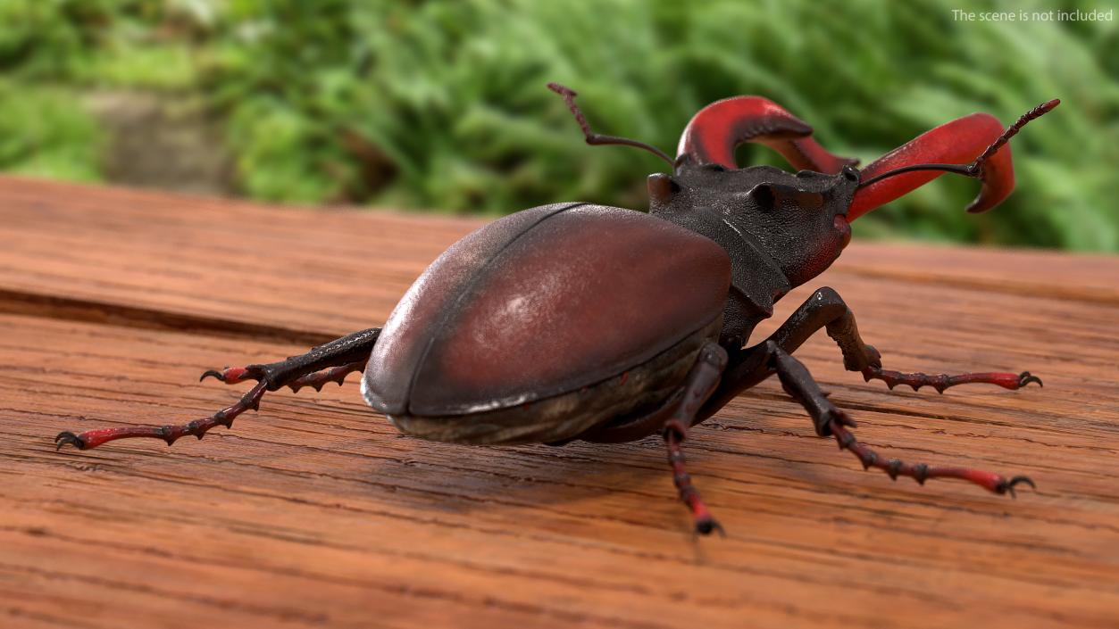 Insects Big Collection 4 3D model