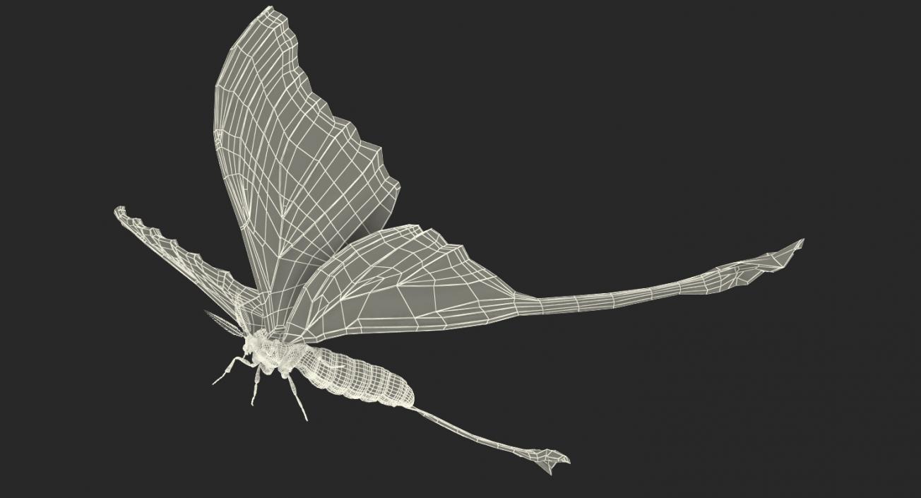 Insects Big Collection 4 3D model