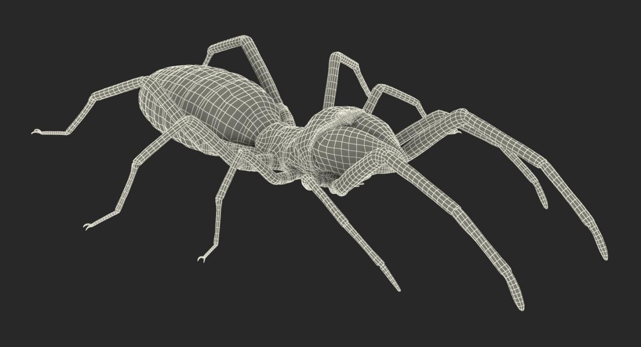 Insects Big Collection 4 3D model