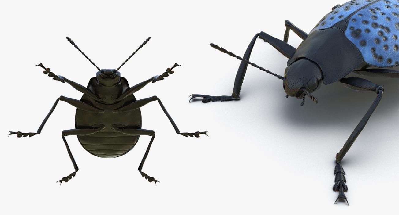 Insects Big Collection 4 3D model