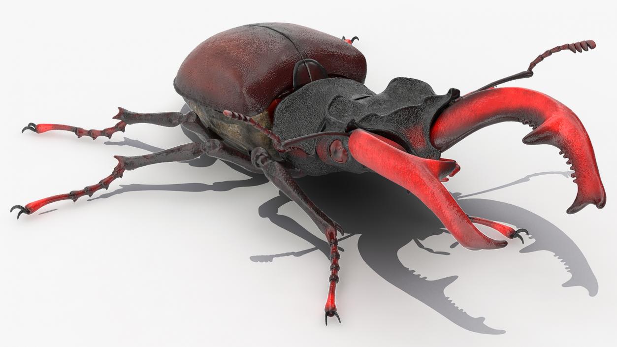 Insects Big Collection 4 3D model