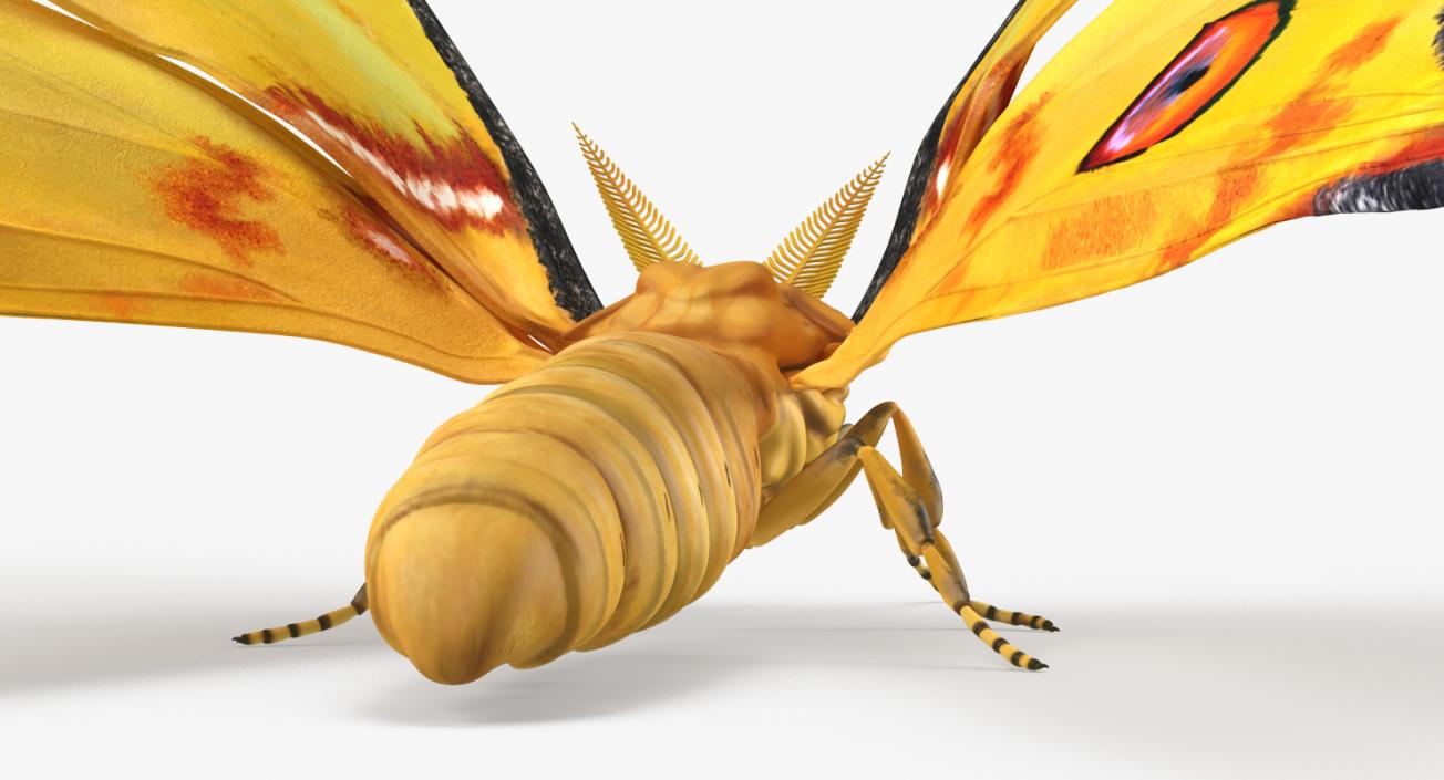 Insects Big Collection 4 3D model