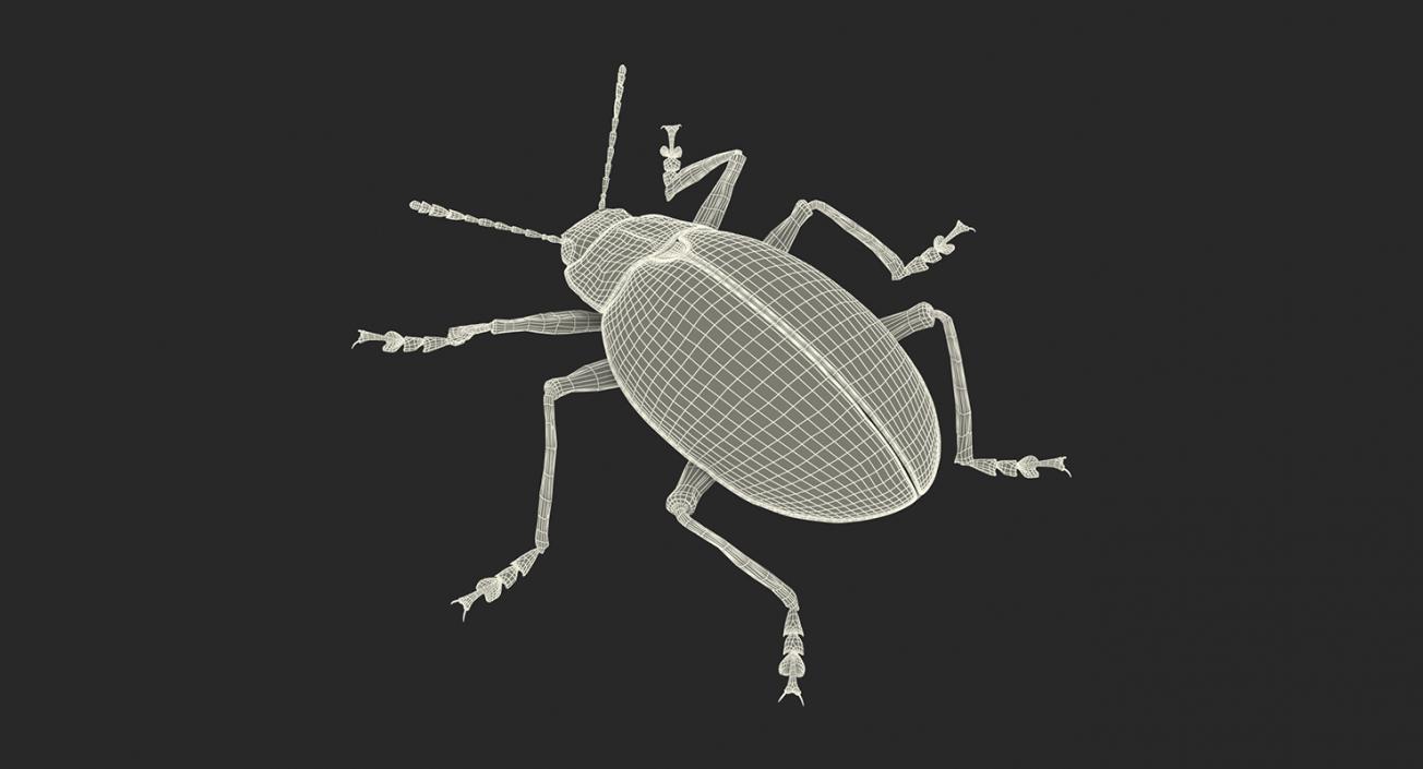 Insects Big Collection 4 3D model