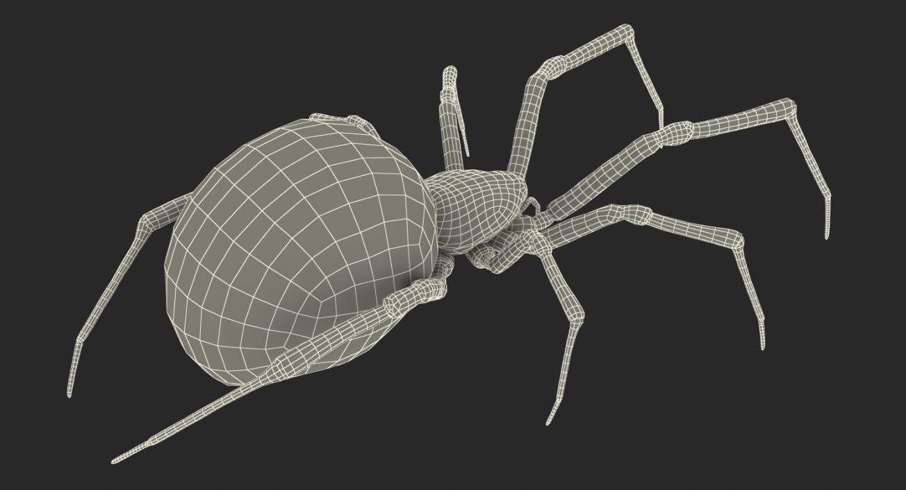 Insects Big Collection 4 3D model