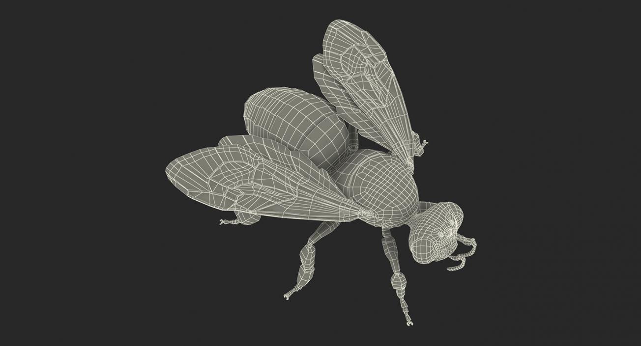 Insects Big Collection 4 3D model