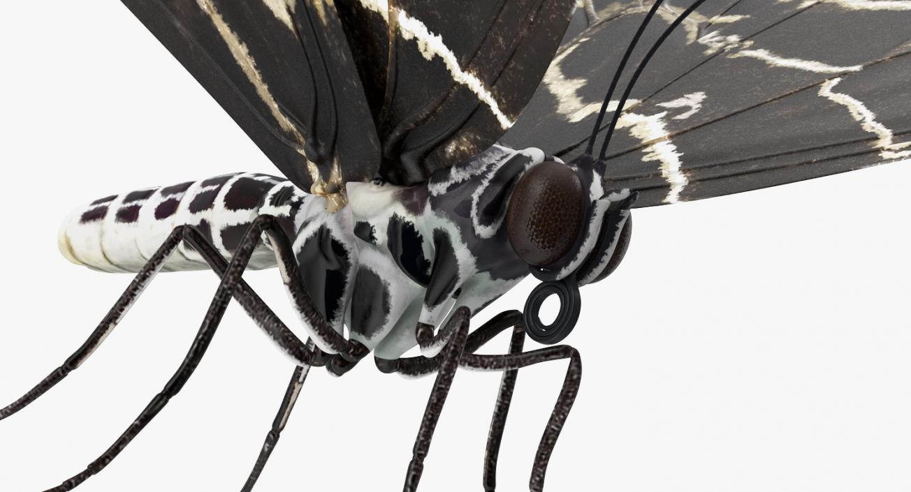 Insects Big Collection 4 3D model