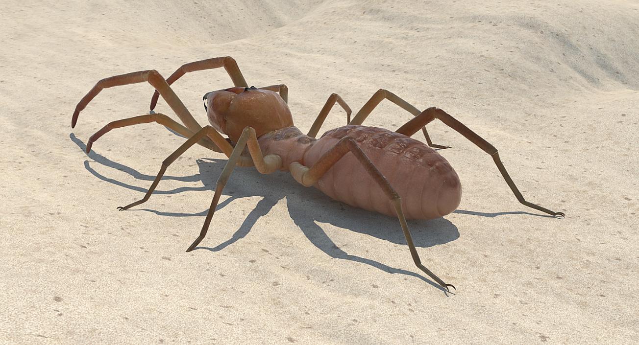 Insects Big Collection 4 3D model