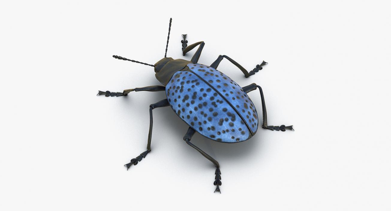 Insects Big Collection 4 3D model