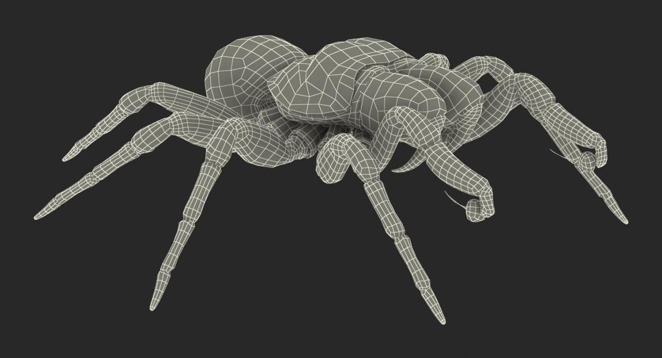 Insects Big Collection 4 3D model