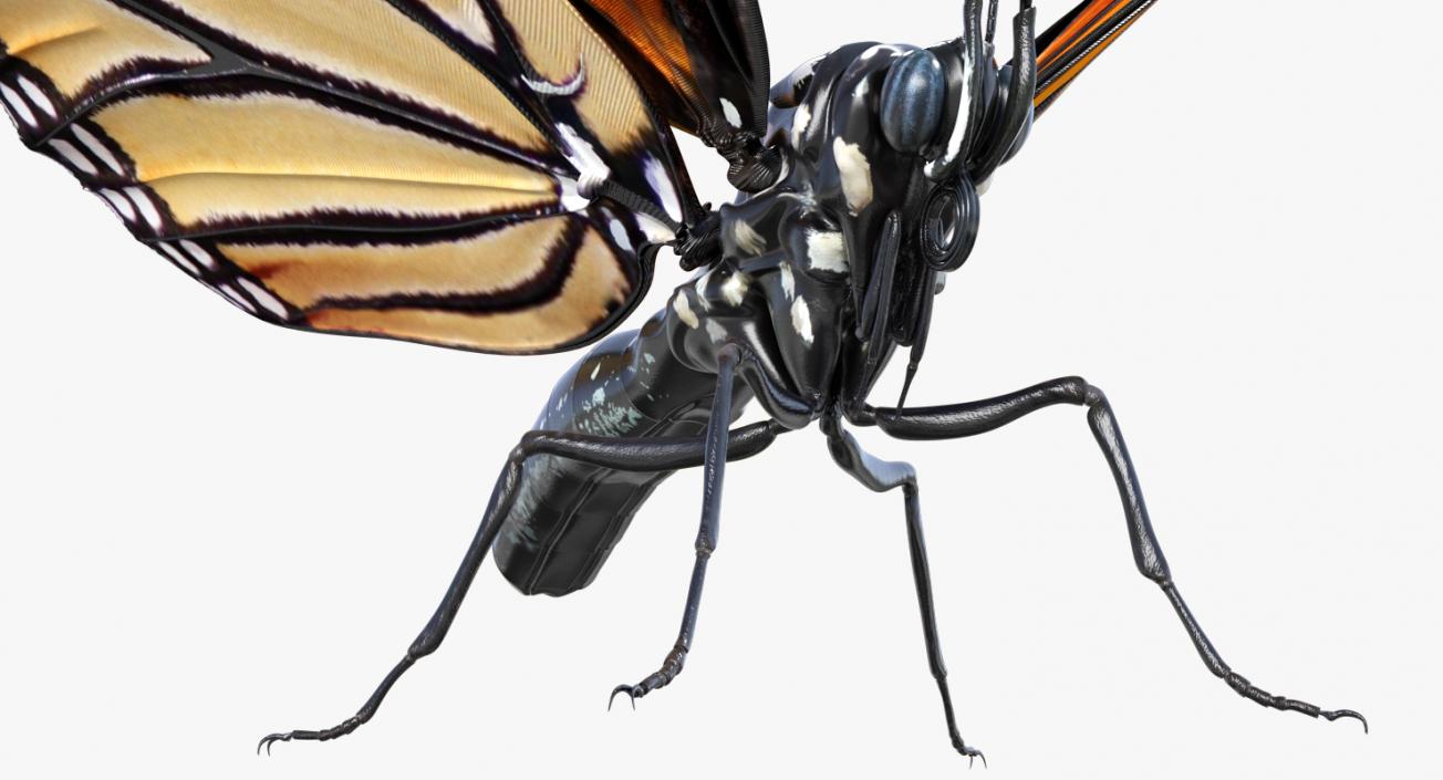 Insects Big Collection 4 3D model