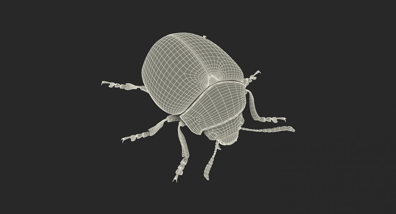 Insects Big Collection 4 3D model