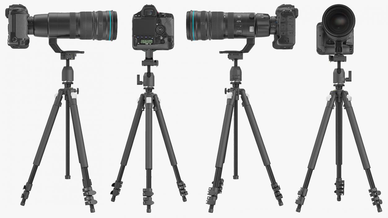 3D DSLR Camera with Zoom 200 400mm on Tripod