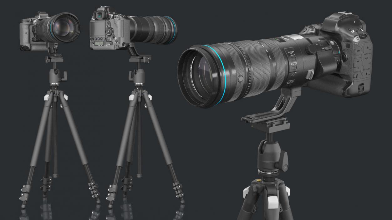 3D DSLR Camera with Zoom 200 400mm on Tripod