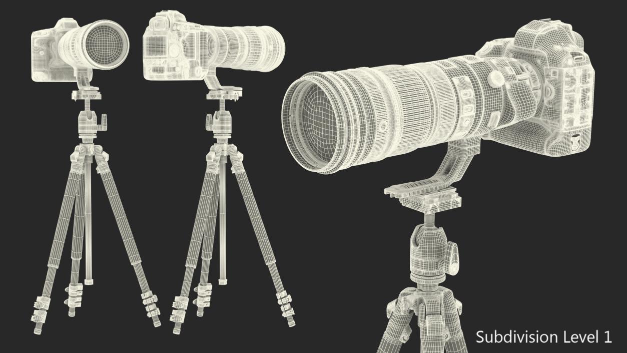 3D DSLR Camera with Zoom 200 400mm on Tripod