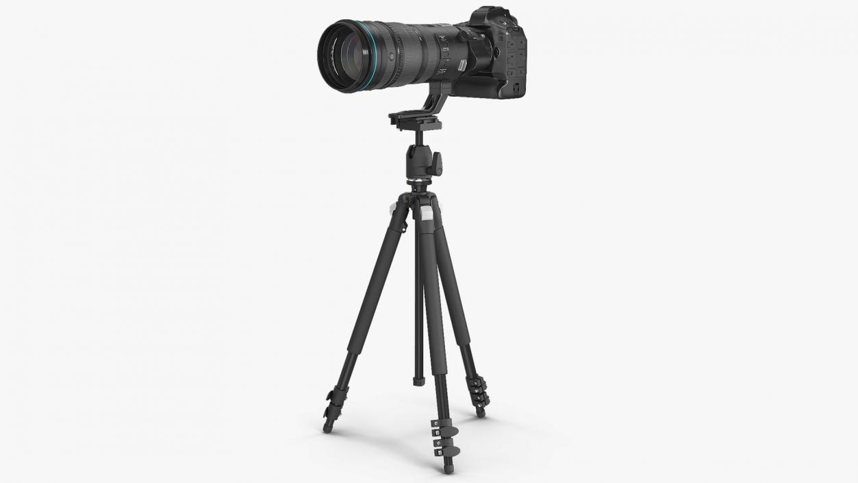 3D DSLR Camera with Zoom 200 400mm on Tripod