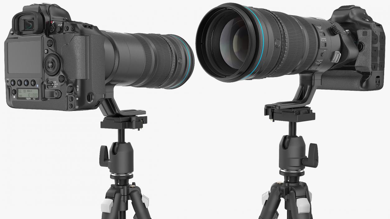 3D DSLR Camera with Zoom 200 400mm on Tripod