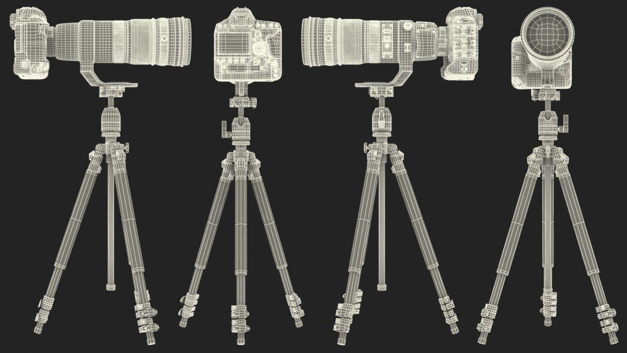 3D DSLR Camera with Zoom 200 400mm on Tripod