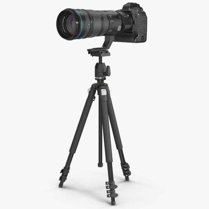 3D DSLR Camera with Zoom 200 400mm on Tripod