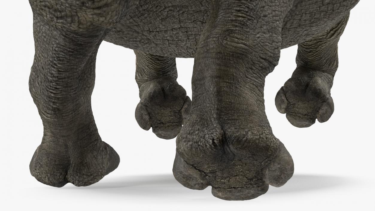 3D Rhino Adult Running Pose Fur model