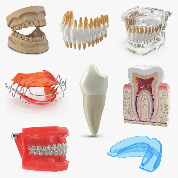 Dental Collection 3 3D model