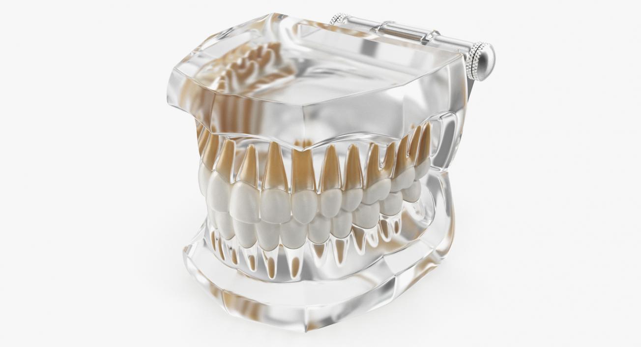 Dental Collection 3 3D model