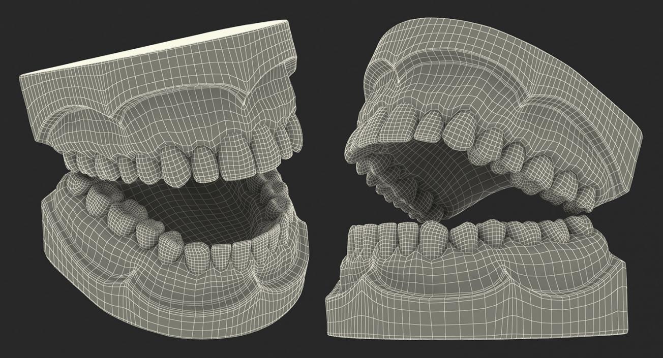 Dental Collection 3 3D model