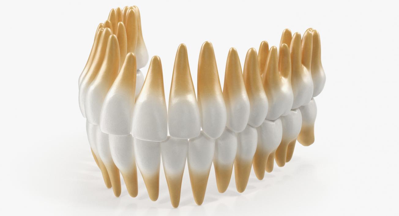 Dental Collection 3 3D model