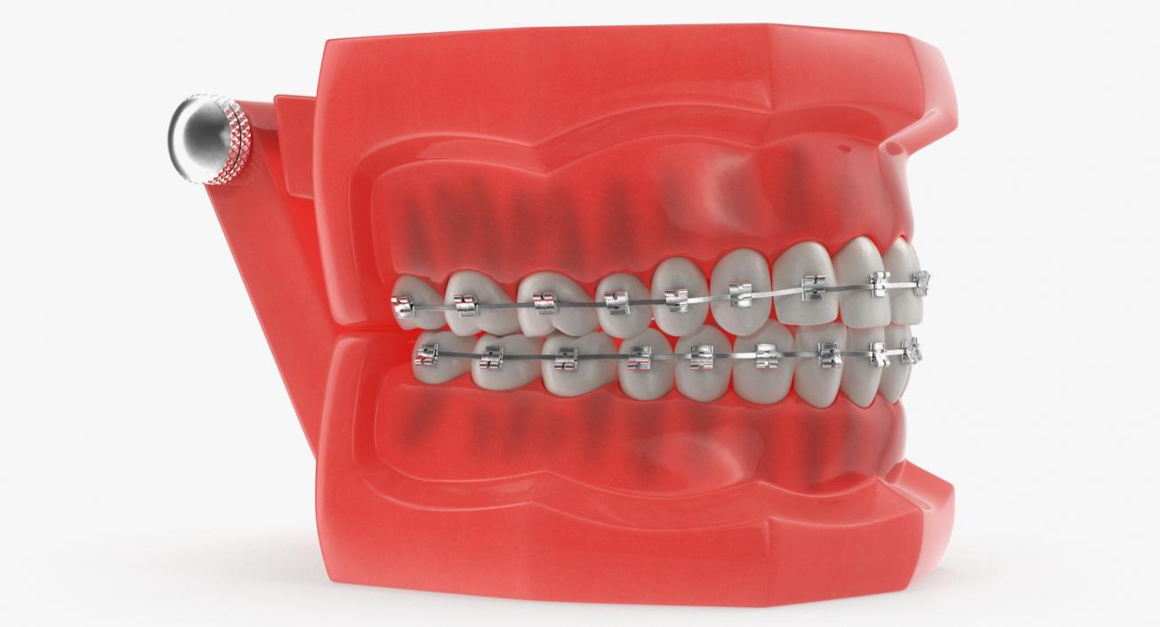 Dental Collection 3 3D model