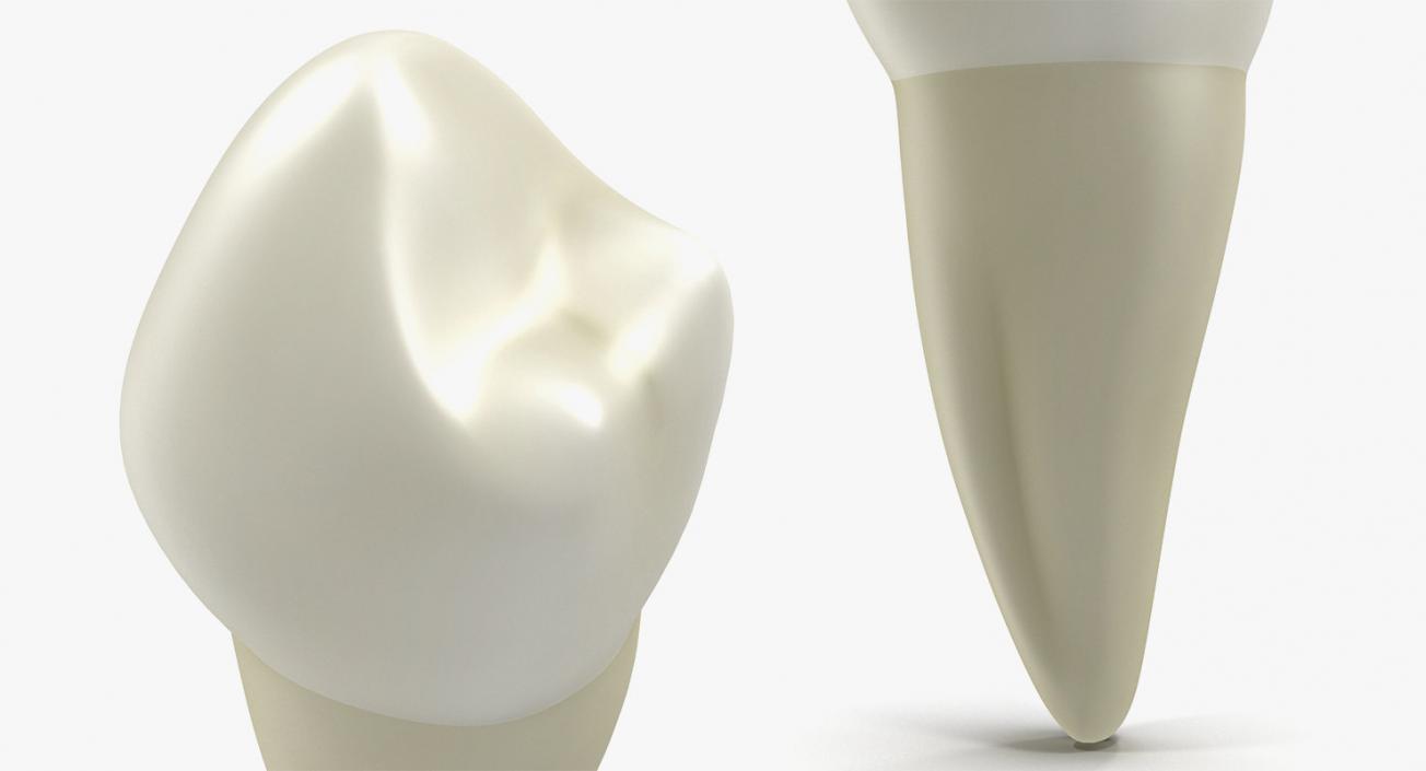 Dental Collection 3 3D model