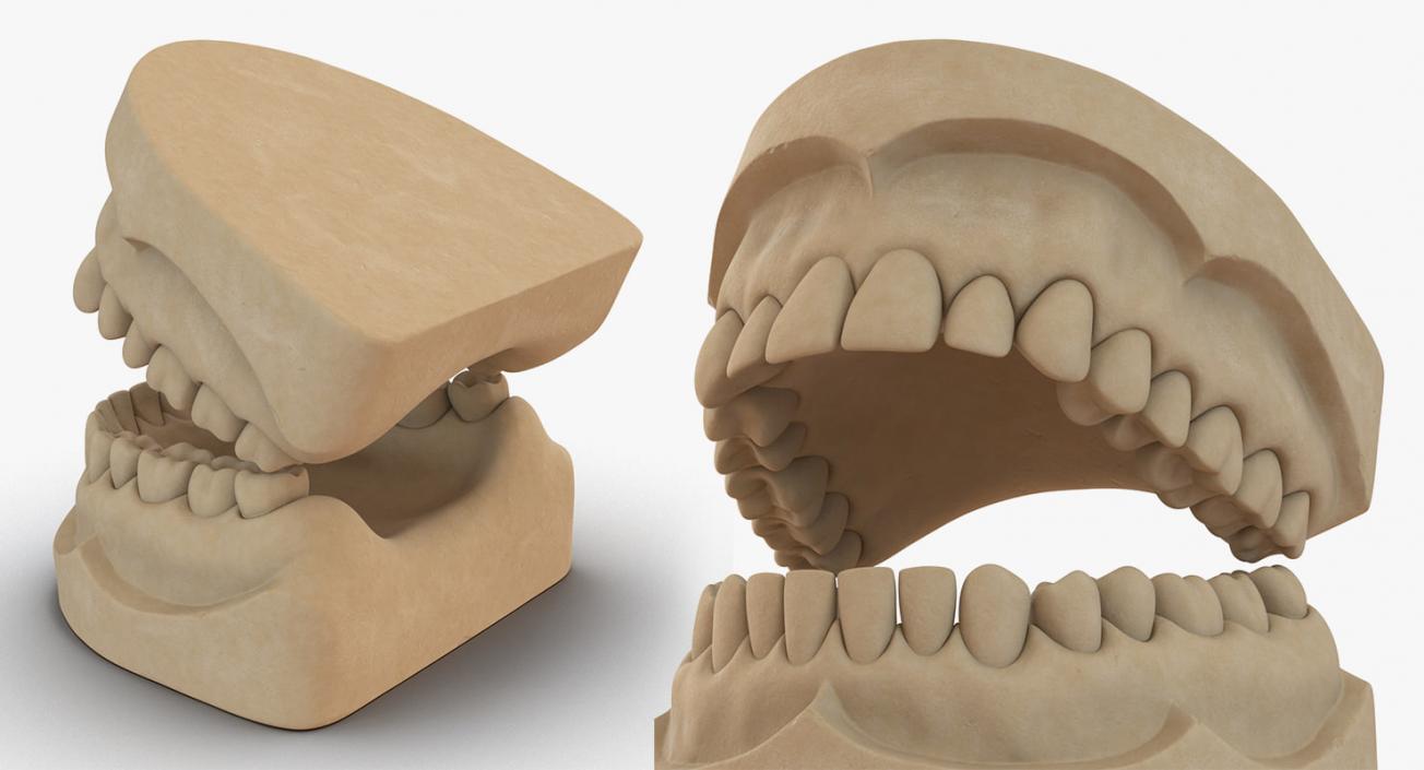 Dental Collection 3 3D model