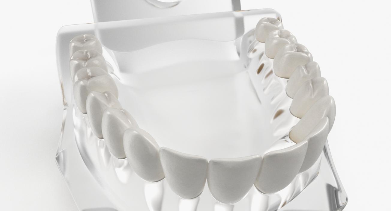 Dental Collection 3 3D model