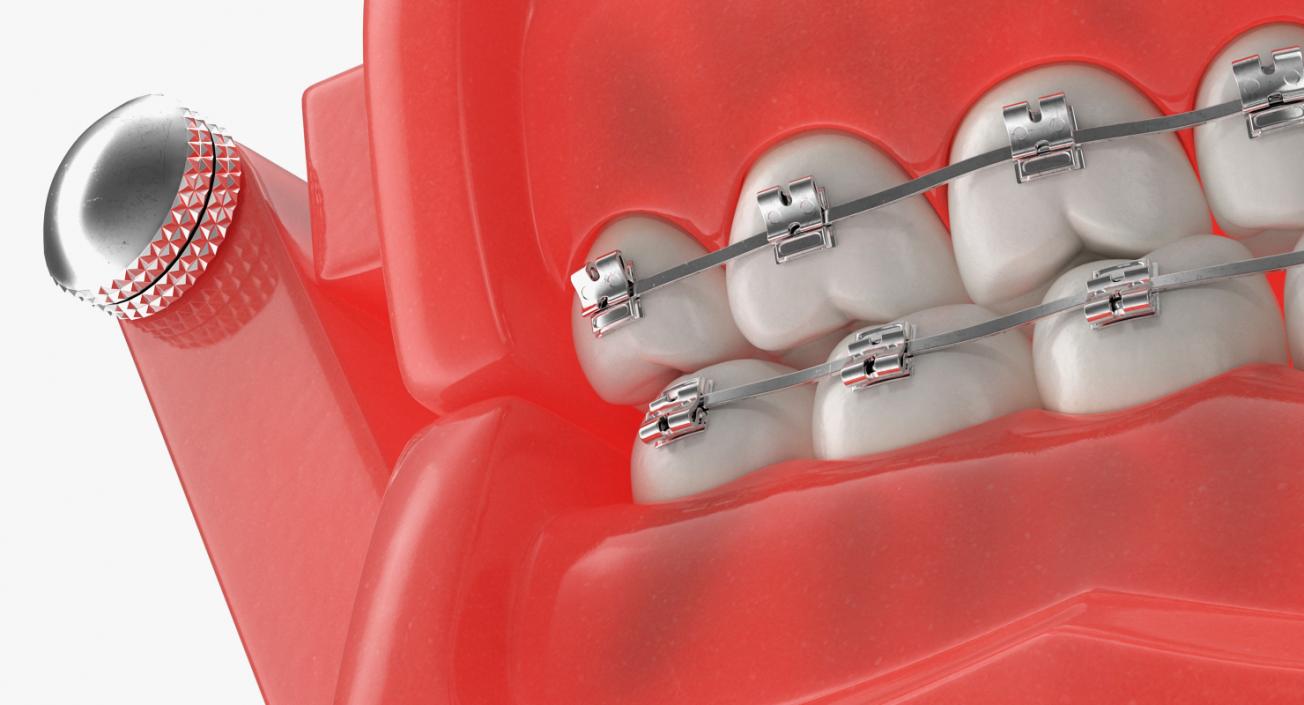 Dental Collection 3 3D model