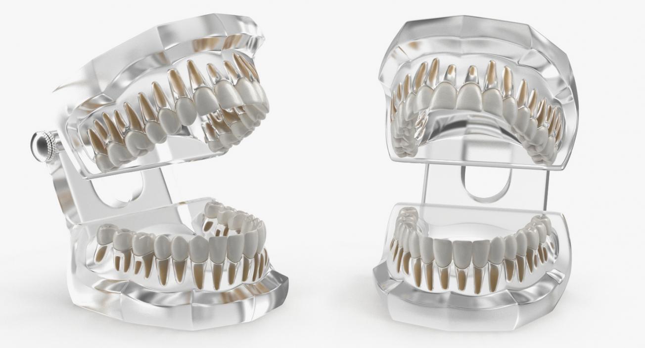 Dental Collection 3 3D model