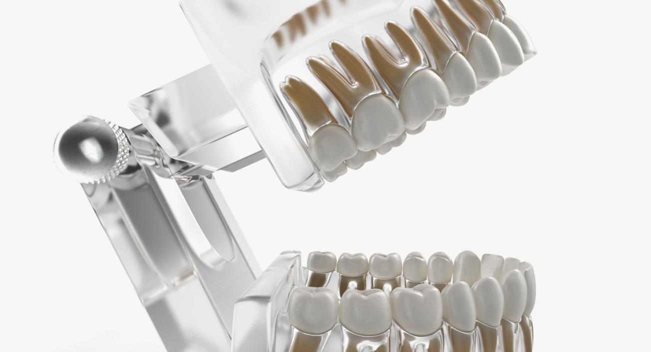 Dental Collection 3 3D model