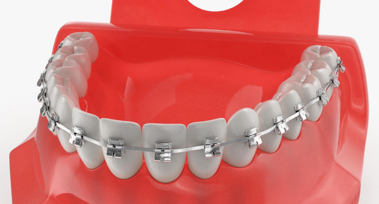 Dental Collection 3 3D model