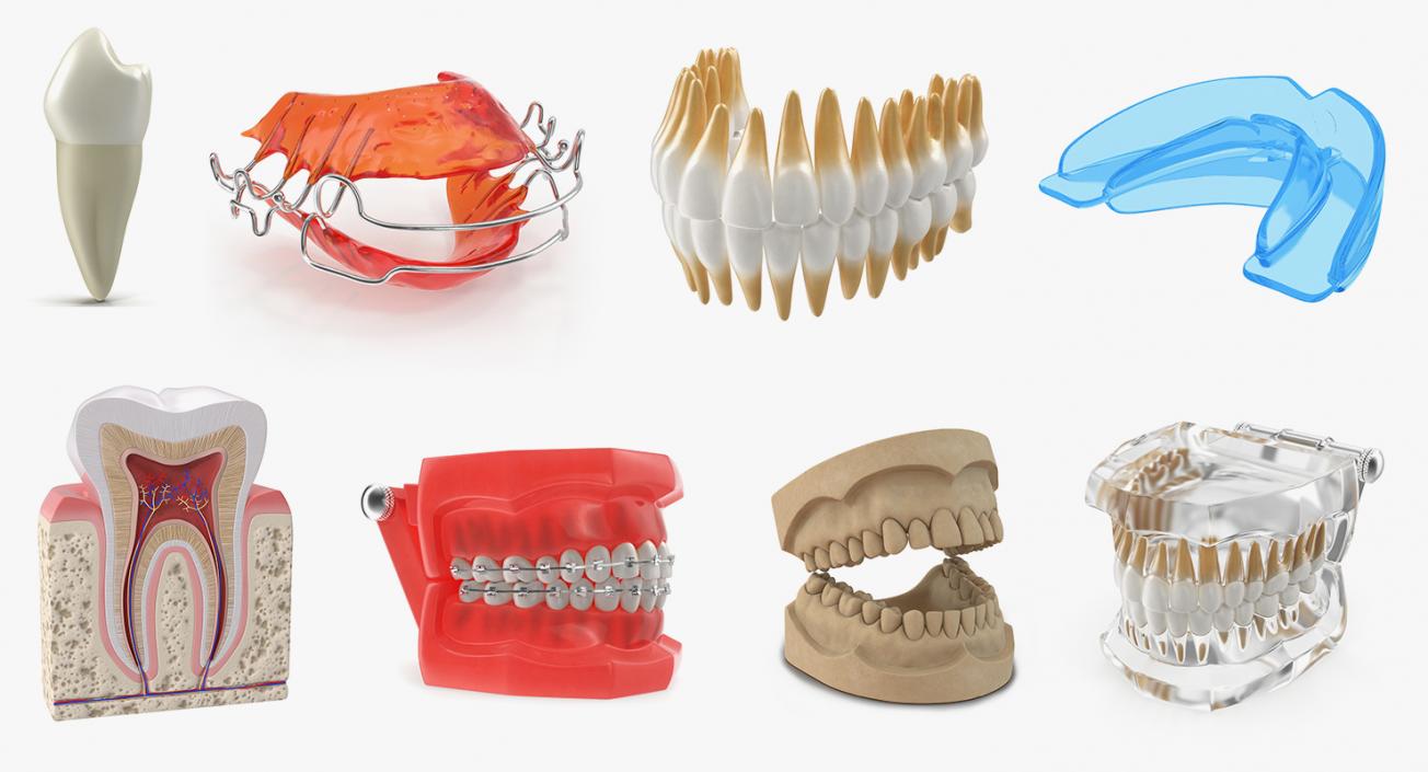 Dental Collection 3 3D model