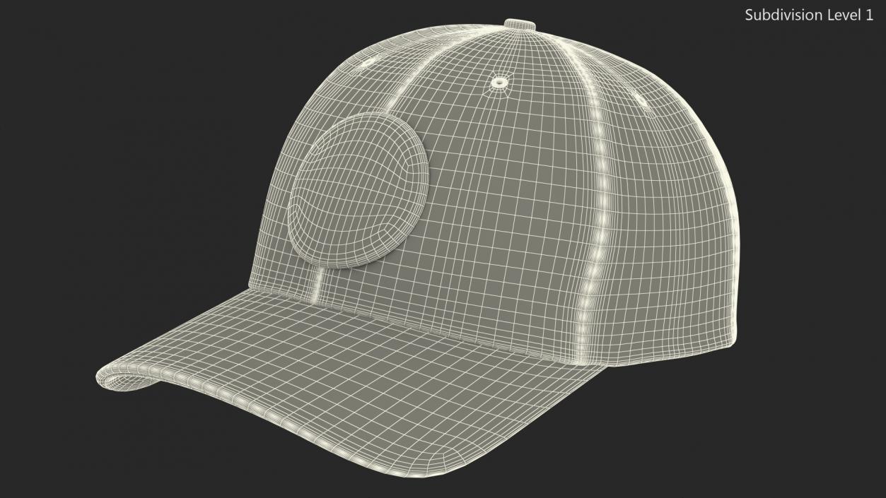 3D Hunting Cap Forest Camo model