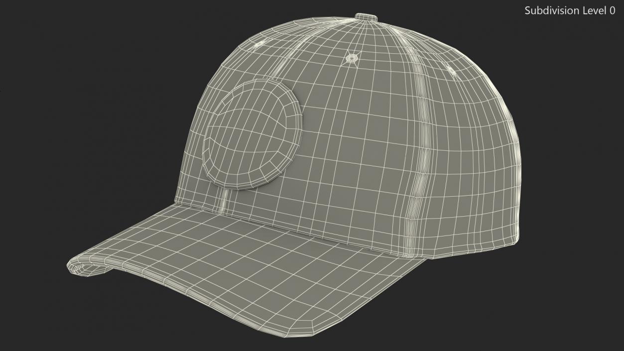 3D Hunting Cap Forest Camo model