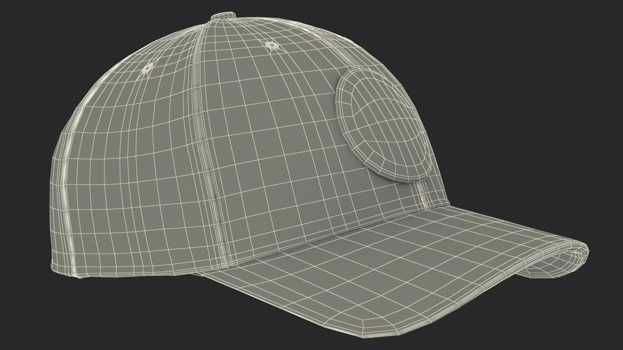 3D Hunting Cap Forest Camo model