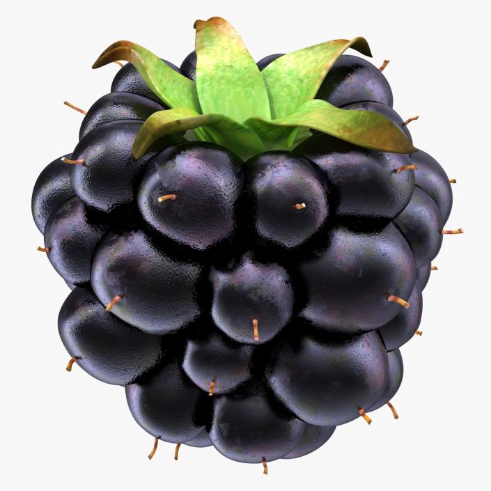 3D model Blackberry