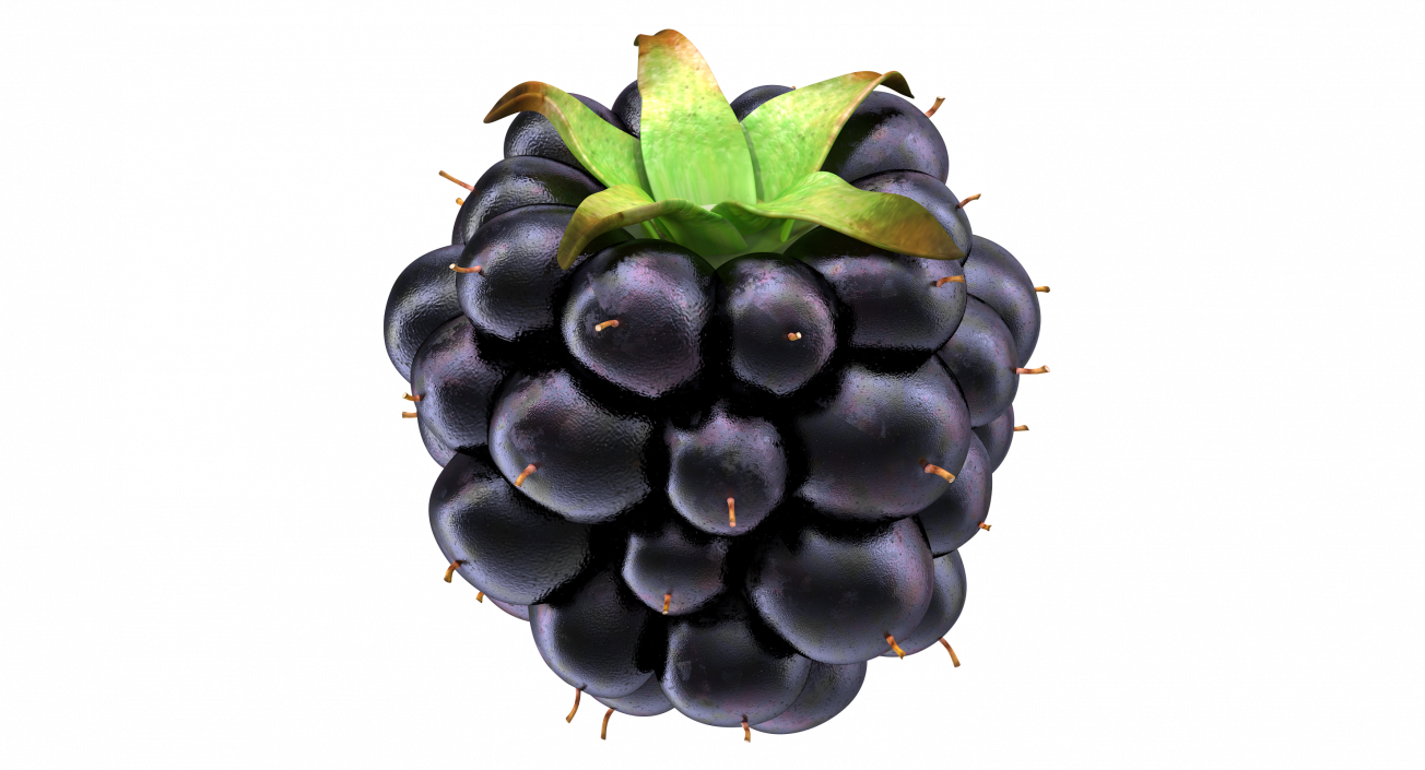 3D model Blackberry