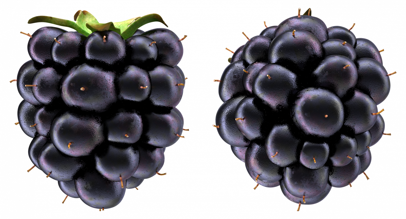 3D model Blackberry