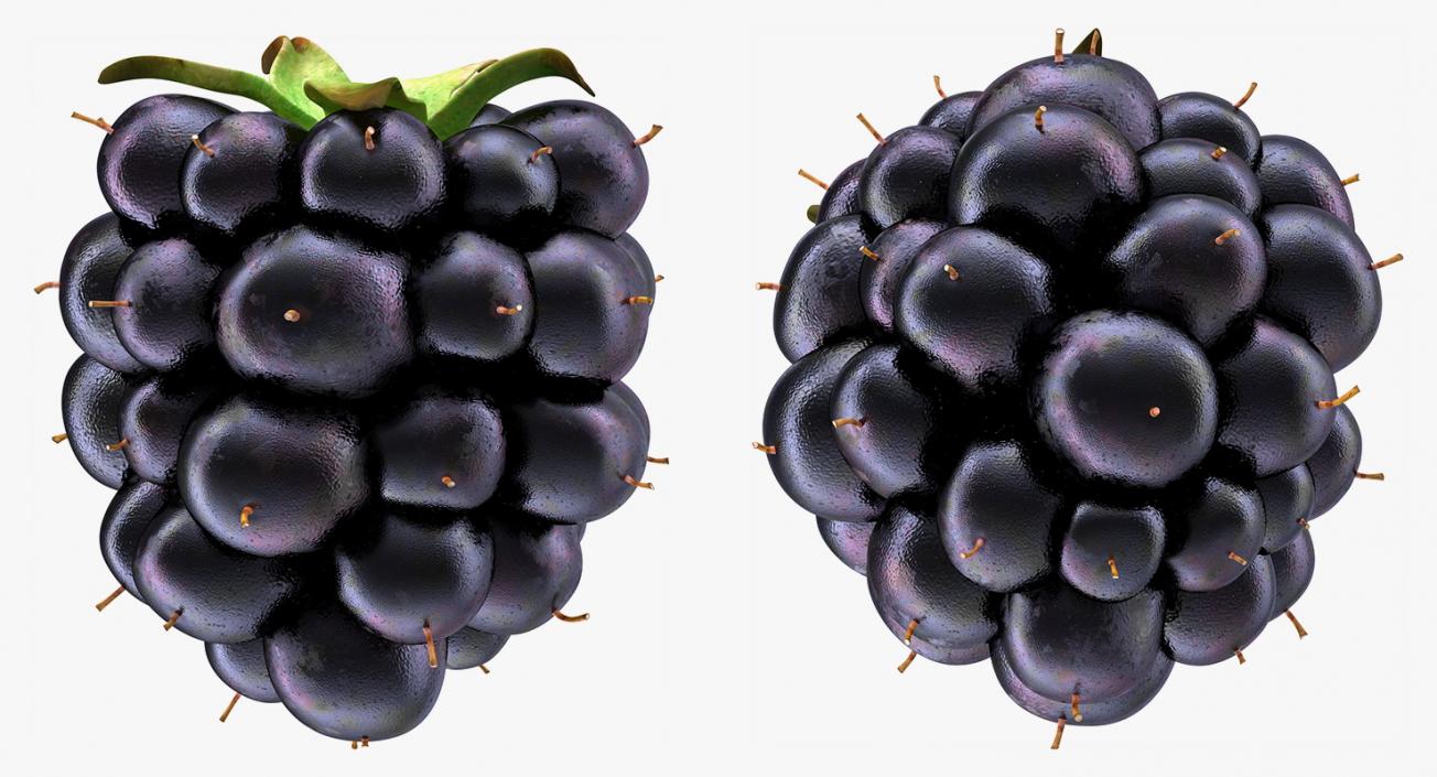 3D model Blackberry