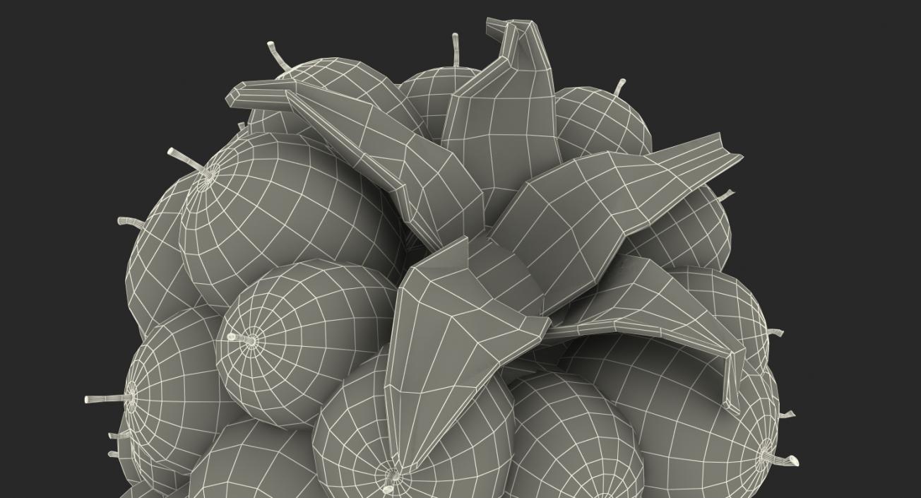 3D model Blackberry